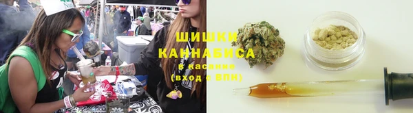 гашик Михайловка