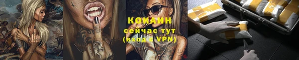 тгк Михайлов