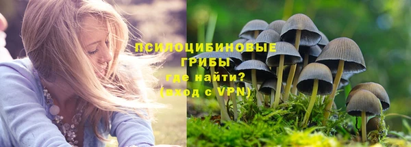гашик Михайловка