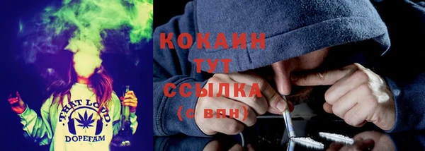 тгк Михайлов