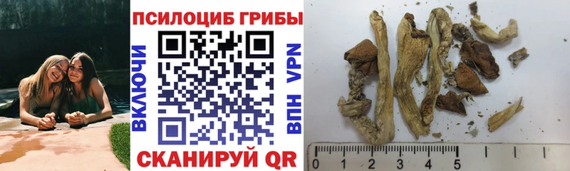 Псилоцибиновые грибы ЛСД  Сортавала 